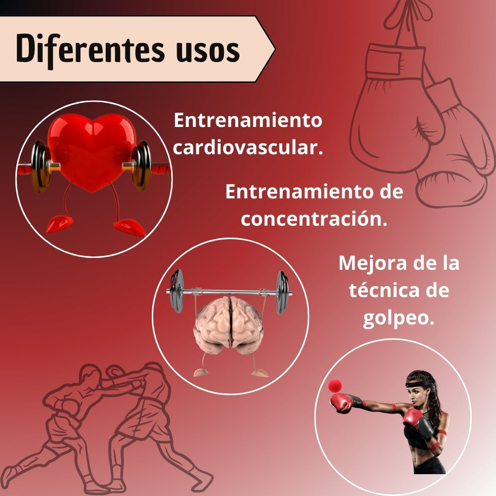 Bola Pelota Entrenamiento De Boxeo