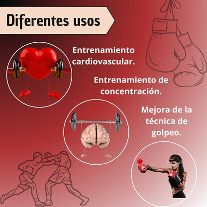 Bola Pelota Entrenamiento De Boxeo